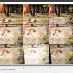 À la découverte des fonctions avancées de StudioTransfert … Troisième partie : détection des images orphelines.